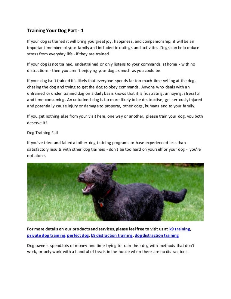 visiting family with your dog