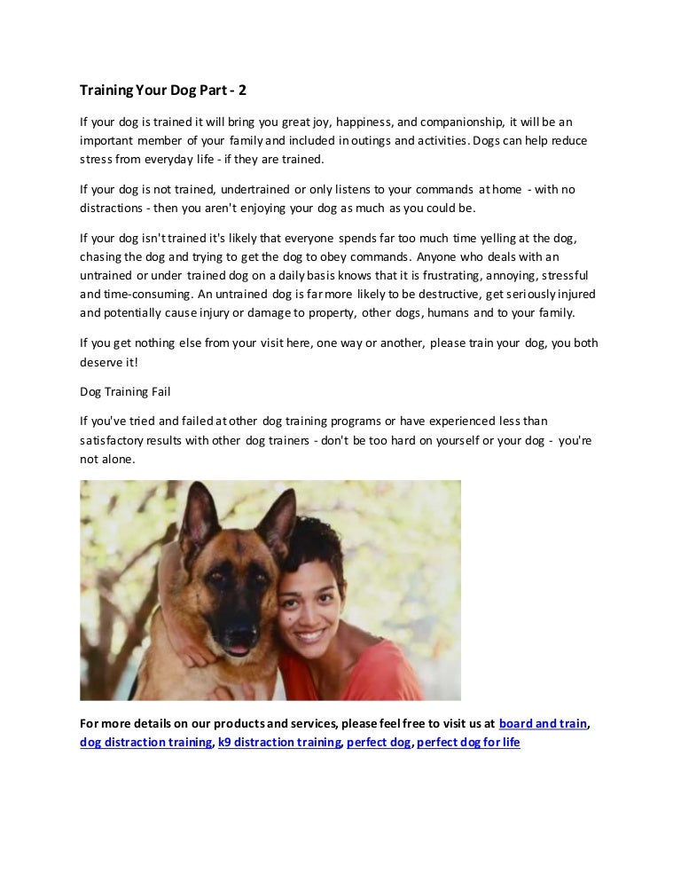 board and train dog training near me