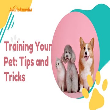 Pets At Home Managers Guide Case Study | PDF