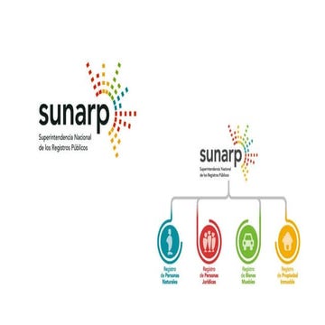 PROCESO DE SERVICIO SUNARP - PERU | PPTX