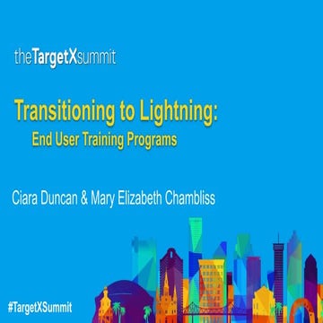 Transitioning to Lightning: End User Training Programs