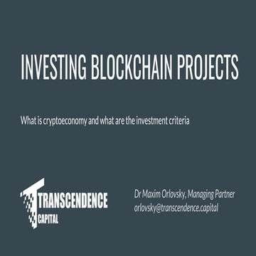 Investing in Blockchain and Cryptoeconomy