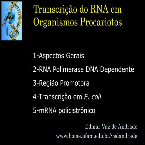 Mecanismo de transcrição do RNA em procariontes