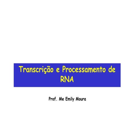 Comprehensive Overview of RNA Transcription and Processing Mechanisms ...