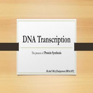 DNA Transcription