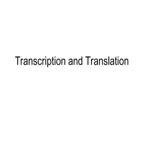 Molecular Biology Transcription ........
