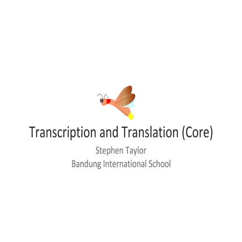 Transcription & Translation (Core)