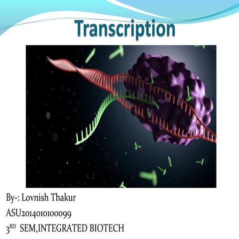 Transcription 