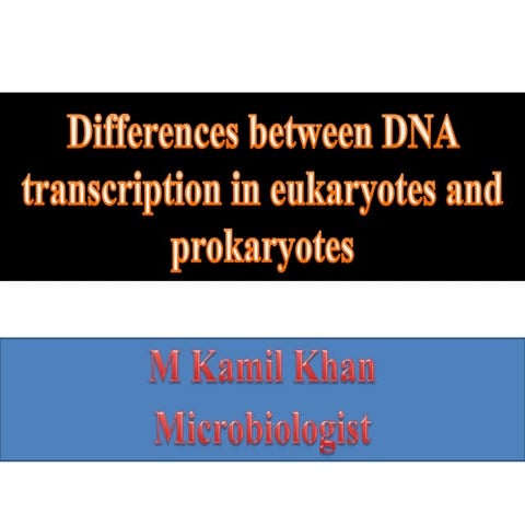 difference between Transcription in eukaryotes and prokaryotes 