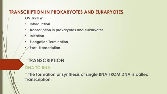 Transcription in prokaryotes and eukaryotes | PDF