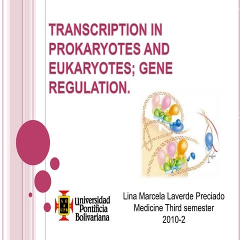 Transcription in prokaryotes and eukaryotes | DOCX