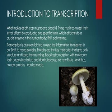 Transcription n Translation.............