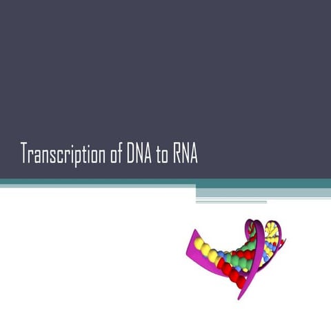 Transcription of DNA to RNA