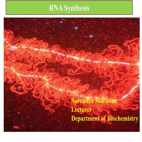 Transcription sm.pptx
