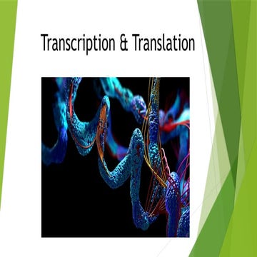 Transcription & Translation of genetic material