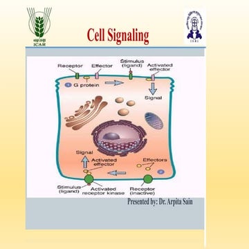 cell signaling and Transduction Pathways