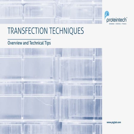 Transfection Techniques - Overview and Technical Tips
