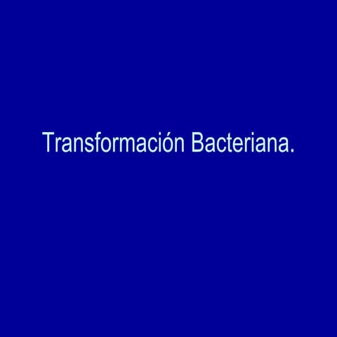 TransformacióN Bacteriana