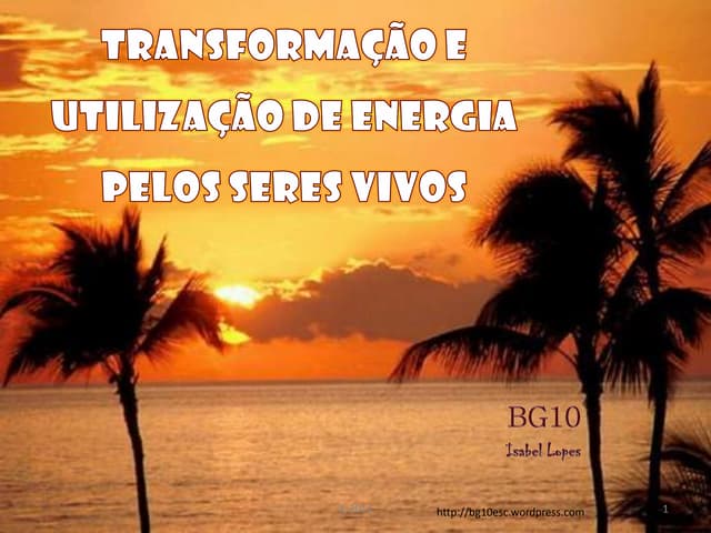 Transformação e utilização de energia