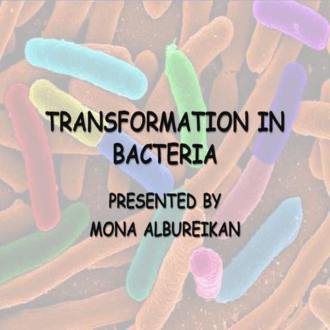 Transformation in bacteria