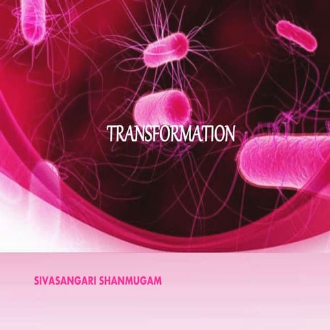 Transformation BY SIVASANGARI SHANMUGAM