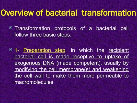 Preparation of competent cells | PPT