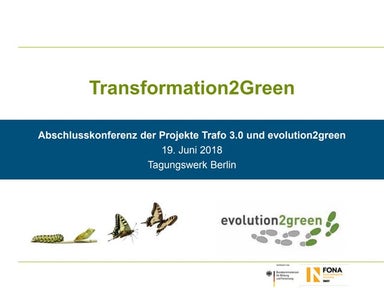Die Gestaltung sozialökologischer Transformationen: Erkenntnisse aus den Fors...