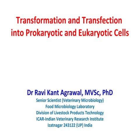 Transformation and transfection 