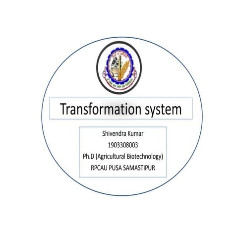 Transformation system