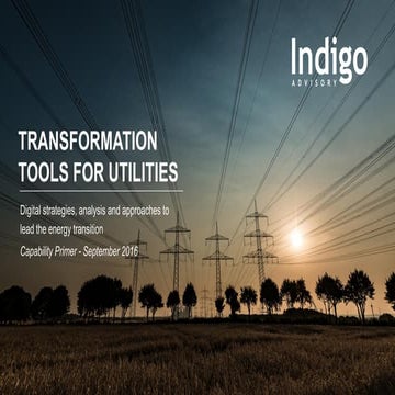 Transformation Tools for Utilities | Indigo Advisory Group