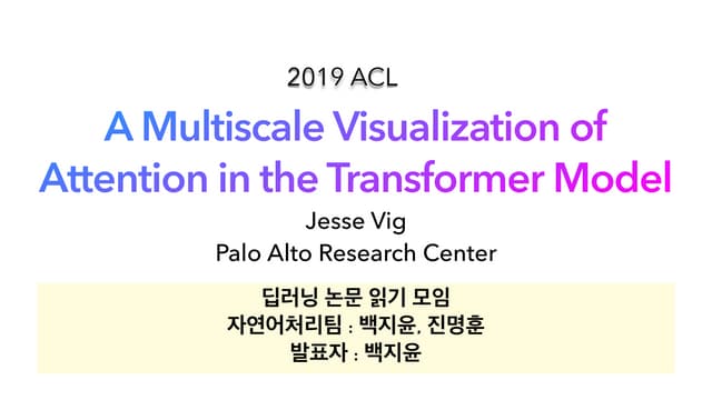 A Multiscale Visualization of Attention in the Transformer Model
