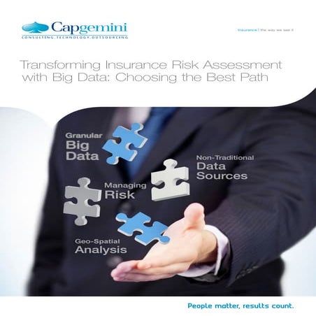 Transforming Insurance Risk Assessment with Big Data: Choosing the Best Path