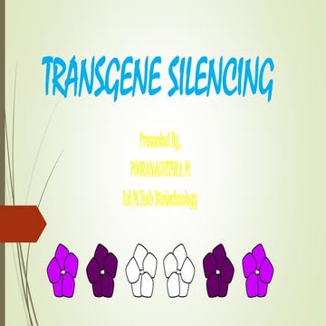 Transgene silencing