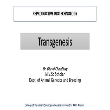 Transgenesis in animals