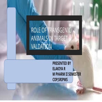The Role of Transgenic Animals in Target Validation for Drug Discovery ...