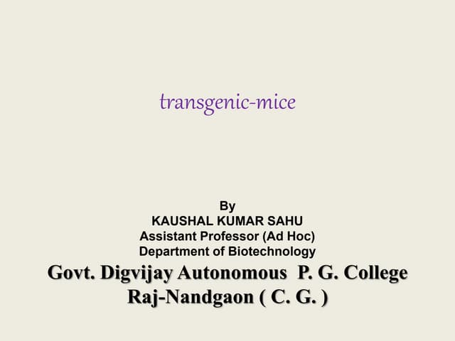 Transgenic mice