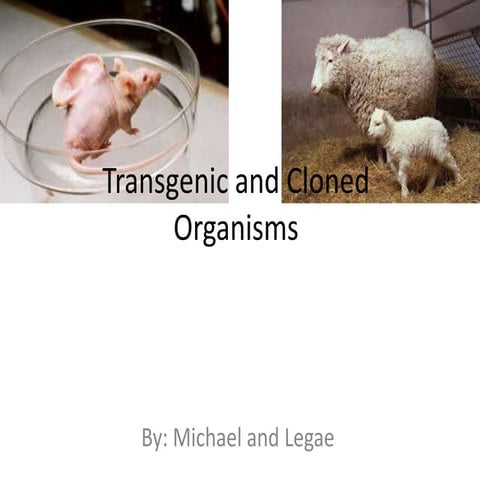 Transgenic and cloned organisms