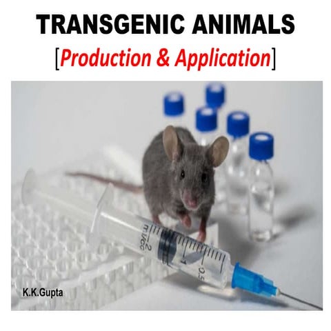 Transgenic animal  production and its application
