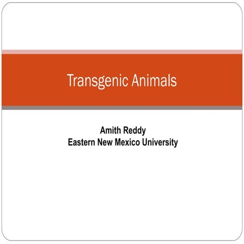 Transgenic Animals