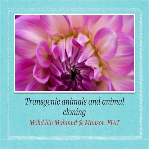Transgenic animals