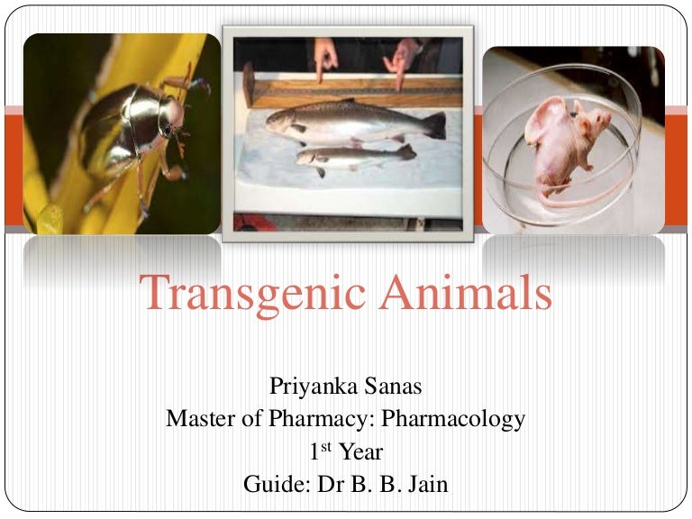 Transgenic Animals