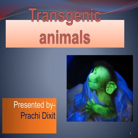 Transgenic Animals