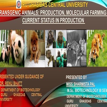 Transgenic animals- Sharmista