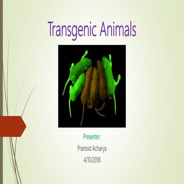 Transgenic animals