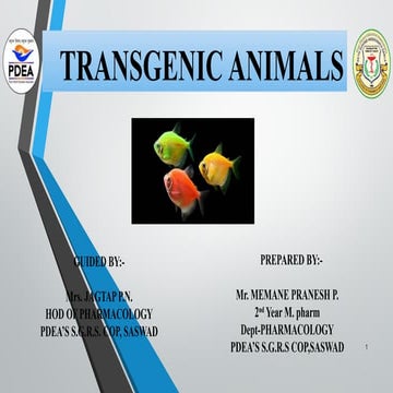 Transgenic animals.pptx