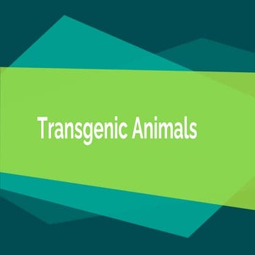 Transgenic animals