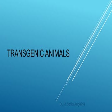 Transgenic Animals.pdf