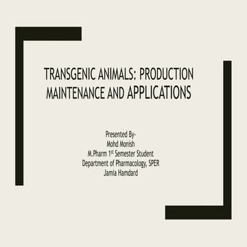Transgenic animals.pptx