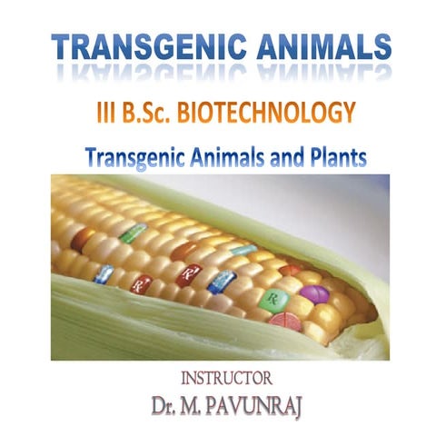 Transgenic animals and plants