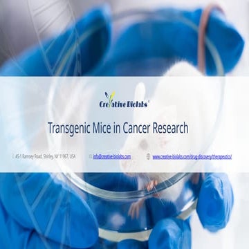 Transgenic Mice in Cancer Research - Creative Biolabs